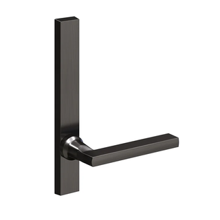 Legge 5305 External Plate + Renoir Lever