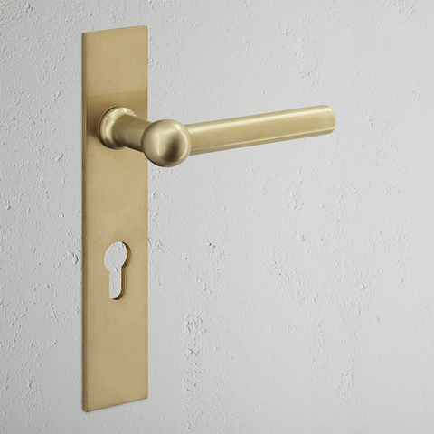 Harper Long Plate Sprung Lever & Euro AB
