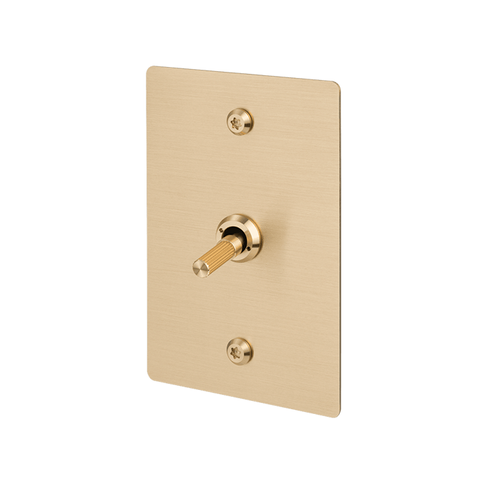 B+P 1G Toggle Vertical 2-Way Linear