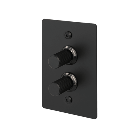 B+P 2G Dimmer Vertical 100W Linear