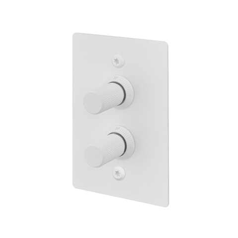 2G Dimmer Vertical 100W Linear W