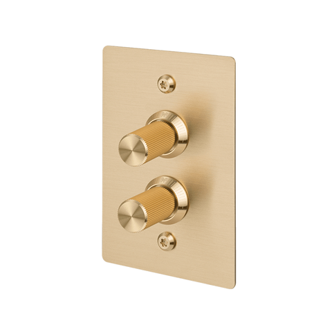 2G Dimmer Vertical 100W Linear BR