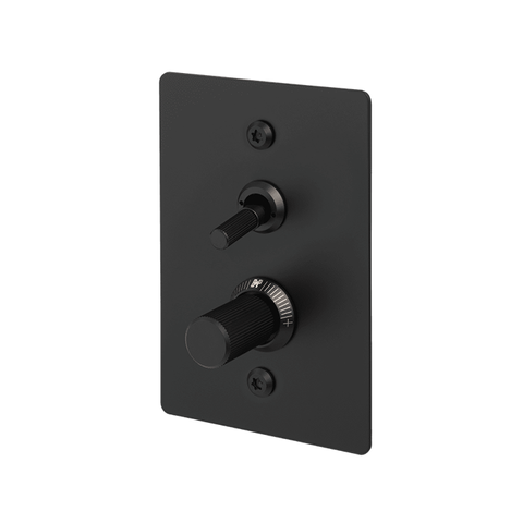 B+P 2G Toggle+Dimmer Vertical Linear