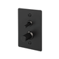 B+P 2G Toggle+Dimmer Vertical Linear