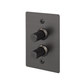 B+P 2G Dimmer Vertical 100W Linear