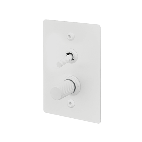 2G Toggle+Dimmer Vertical Linear W