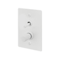B+P 2G Toggle+Dimmer Vertical Linear