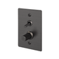 B+P 2G Toggle+Dimmer Vertical Linear