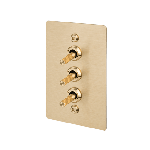 3G Toggle Vertical 2-Way Linear BR