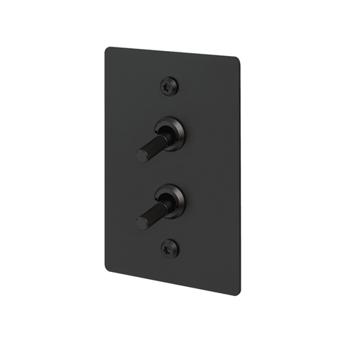 B+P 2G Toggle Vertical 2-Way Linear