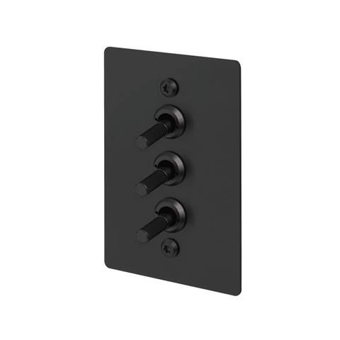 B+P 3G Toggle Vertical 2-Way Linear