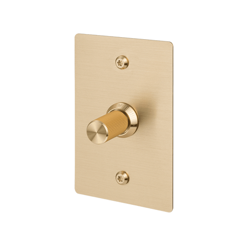 1G Dimmer Vertical 250W Linear BR