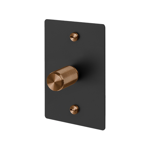 B+P 1G Dimmer Vertical 250W Cross WS