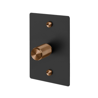 B+P 1G Dimmer Vertical 250W Cross WS