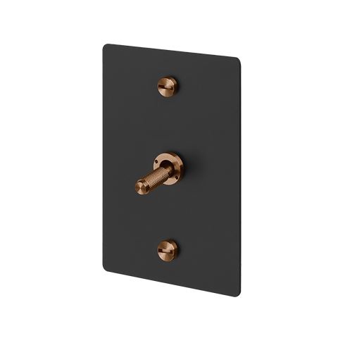 B+P 1G Toggle Vertical Retractive WS