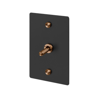 B+P 1G Toggle Vertical Retractive WS