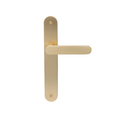 Windsor Galaxy Astro Longplate