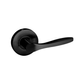 Schlage Element Carla Lever