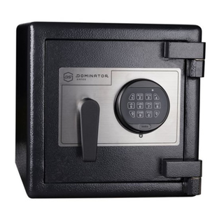Dominator PS2D Plate Home Safe Digital