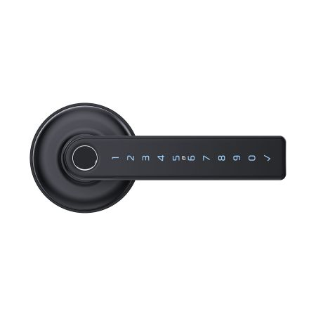 Schlage Ascent Smart Lever