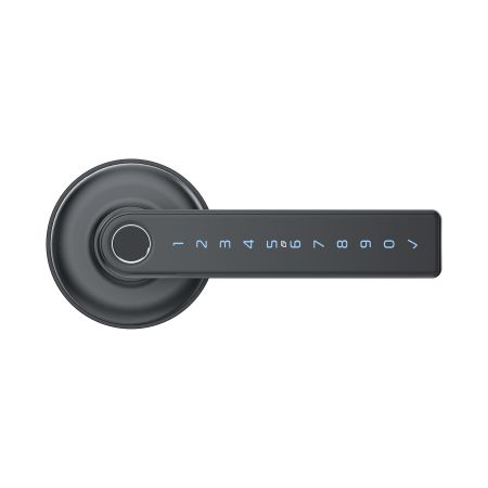 Schlage Ascent Smart Lever Graphite