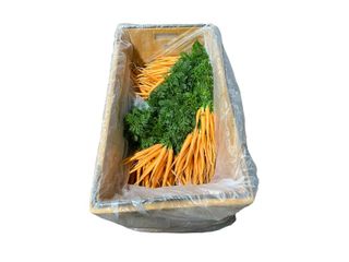 Carton Liners