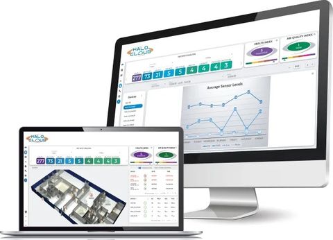 Halo Cloud 1st Year Free