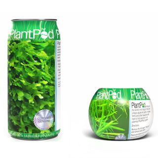 Aquarium Moss