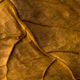 Indian Almond Leaves