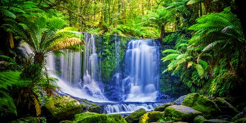 Tasmania 3 Sizes