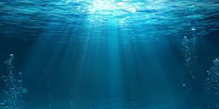 Underwater L 60X90cm