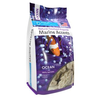 Marine Accents-Ocean Box of 10