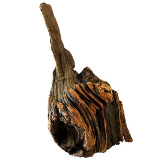 NZ Exotic Wood Jumbo70cm **