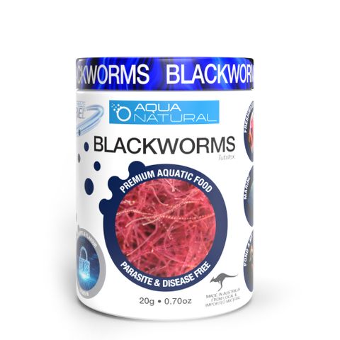 Freeze Dried Blackworms 20g