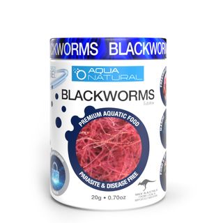Freeze Dried Blackworms 20g