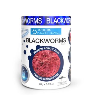 FD Blackworms 20g Six Pack