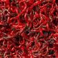 Freeze Dried Bloodworms 26g