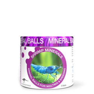 Shrimp Mineral 5 Ball Six Pack
