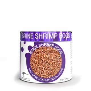 Brine Shrimp Eggs 30g Six Pack