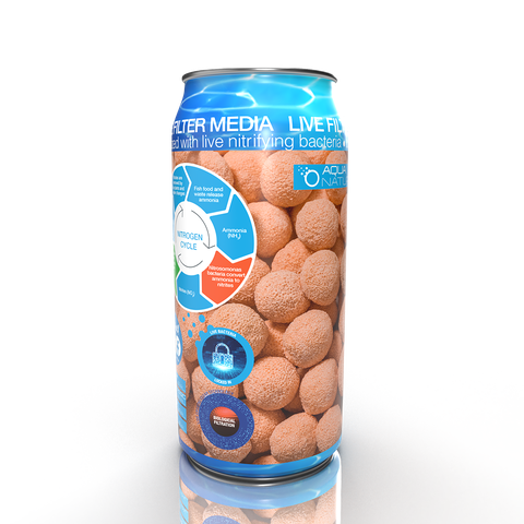 Live Spheres 500ml Can