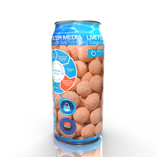 Live Spheres 500ml Can