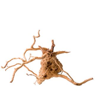 Gold Vine Med 40cm