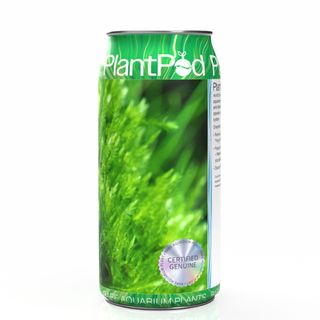Mini Christmas Moss Large