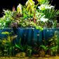 Aquarium Plant Toppers 6 Pack