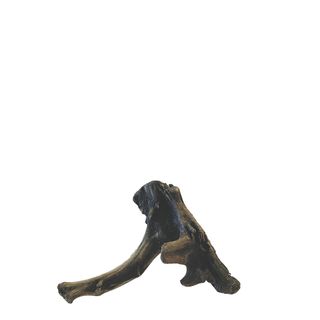 NZ Exotic Wood S 20cm