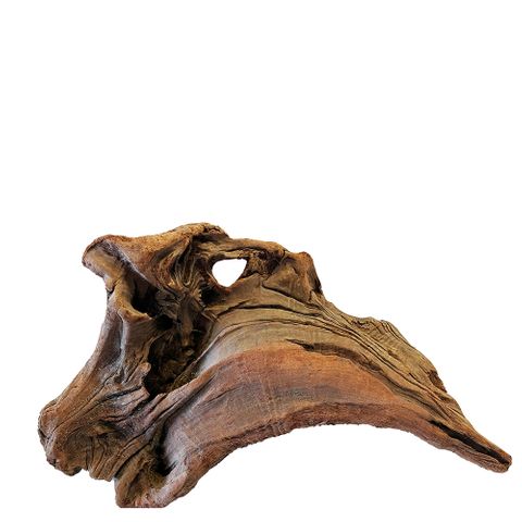 NZ Exotic Wood M 30cm