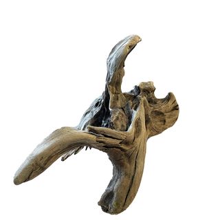 NZ Exotic Wood XL 50cm