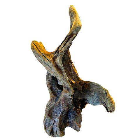 NZ Exotic Wood XXL 60cm