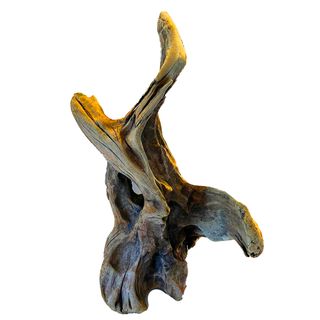 NZ Exotic Wood XXL 60cm