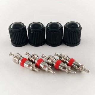 Valves - Caps & Cores